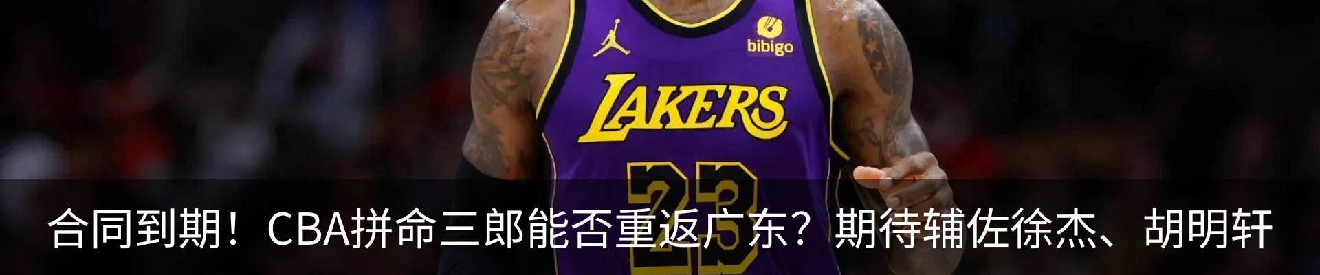 新闻动态