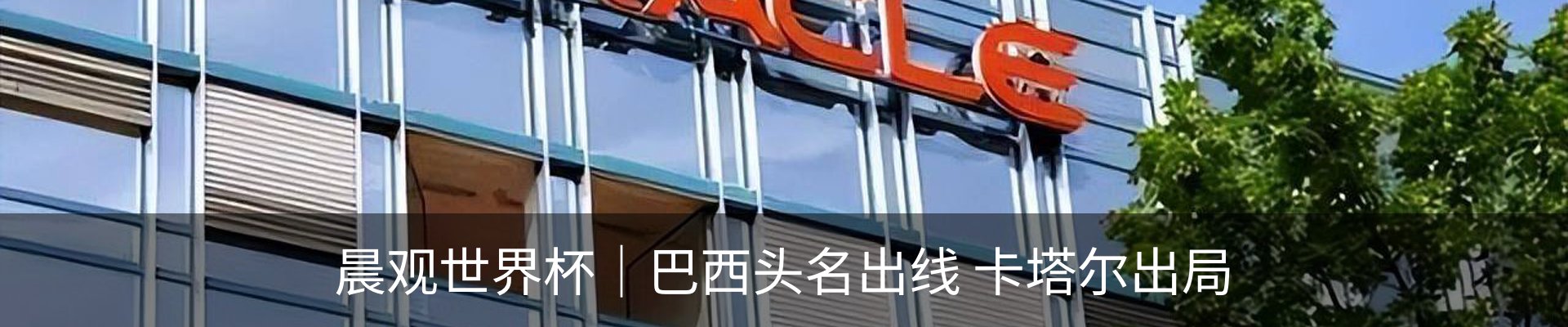新闻动态